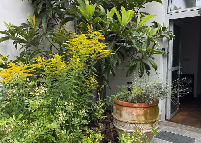 Zentrales Gartenhaus Loft In Berlín